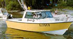 BB250 "Flying Silver. 7.34 metre alloy deep vee."